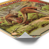 Kangaroo Tobacco 1900 Poster (Ecke)