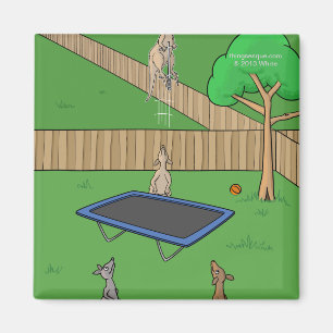 Kangaroo Trampoline Bounce Magnet