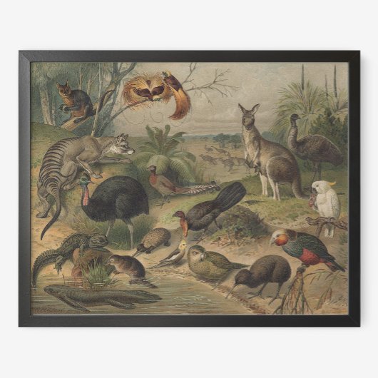 Kangaroo und Animal Friends in Australia Poster