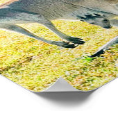 Kangaroo und Baby Poster (Ecke)