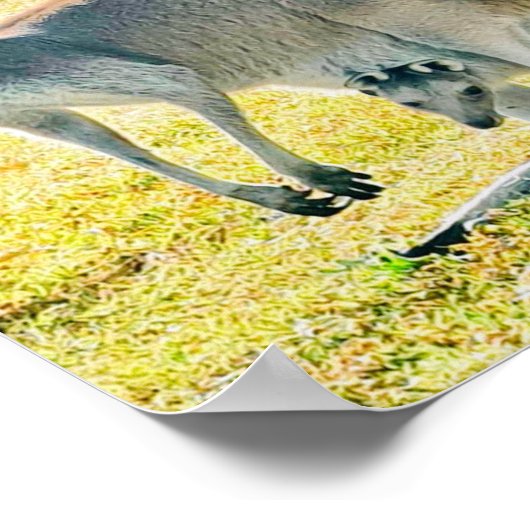 Kangaroo und Baby Poster (Ecke)