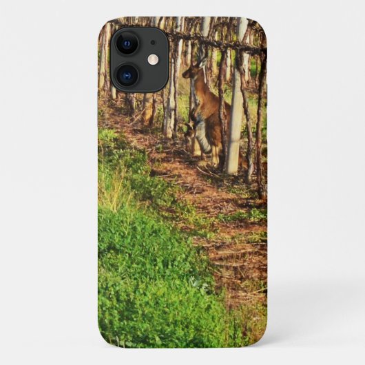 Kangaroo und Joey im Weinbau, Case-Mate iPhone Hülle (Rückseite)