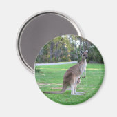 Kangaroo und Joey Magnet (Vorderseite/Rückseite)