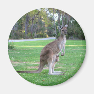 Kangaroo und Joey Magnet