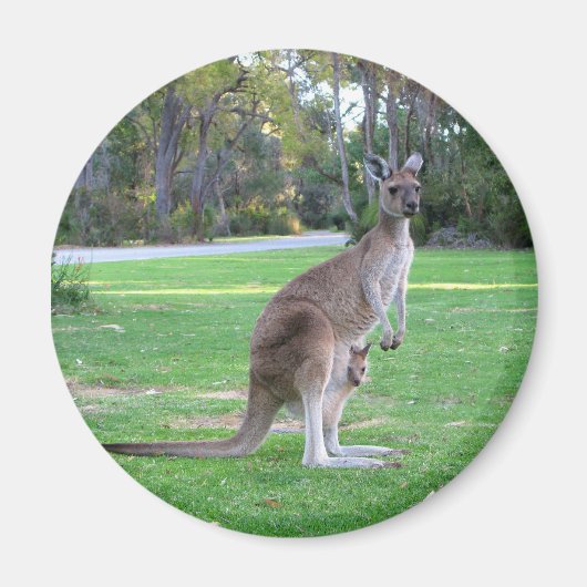 Kangaroo und Joey Magnet (Vorne)
