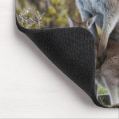 Kangaroo und Joey Mousepad (Ecke)