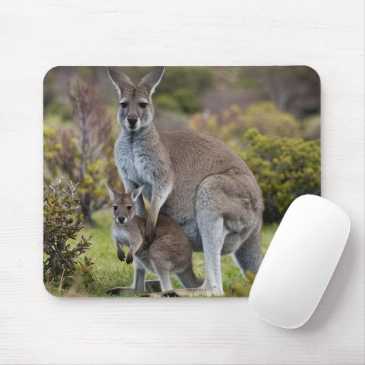Kangaroo und Joey Mousepad (Mit Mouse)