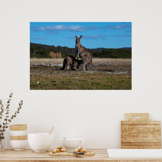 Kangaroo und Joey Poster (Küche)