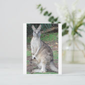 Kangaroo und Joey Postkarte (Stehend Vorderseite)