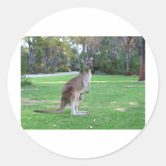 Kangaroo und Joey Runder Aufkleber