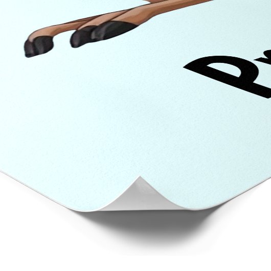 Kangaroo und Koala Poster (Ecke)