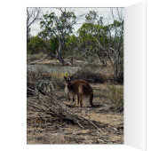 Kangaroo unterdessen bei Billabong, Geburtstagskar (Innen (Links))
