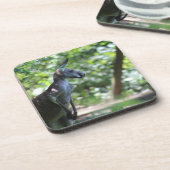 Kangaroo-Untersetzer Getränkeuntersetzer (Linke Seite)