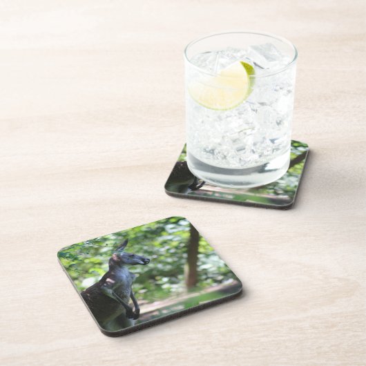 Kangaroo-Untersetzer Getränkeuntersetzer (Rechte Seite)