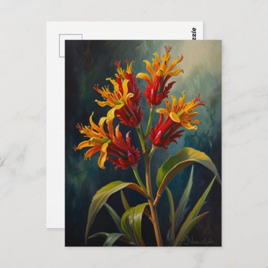 Kangaroos-Blume Postkarte (Vorne/Hinten)