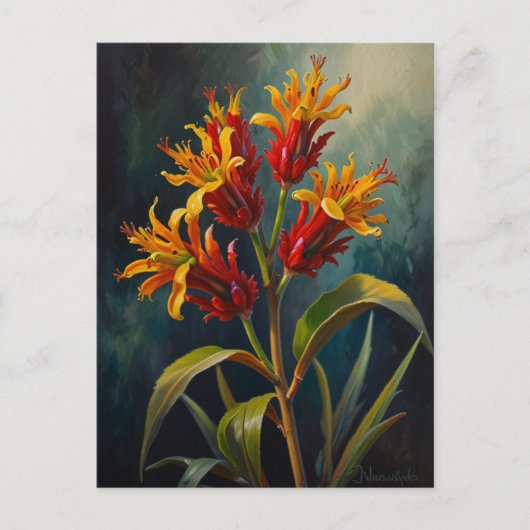 Kangaroos-Blume Postkarte (Vorderseite)