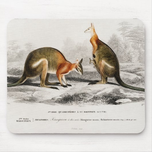 Kangaroos Couple Mousepad (Vorne)