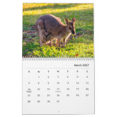 Kangaroos Wall Calendar Kalender (Mär 2027)