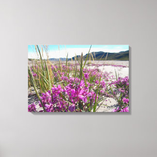 Kangerlussuaq Grönland Leinwanddruck