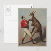 Känguru-Boxen Sideshow Postkarte (Vorne/Hinten)
