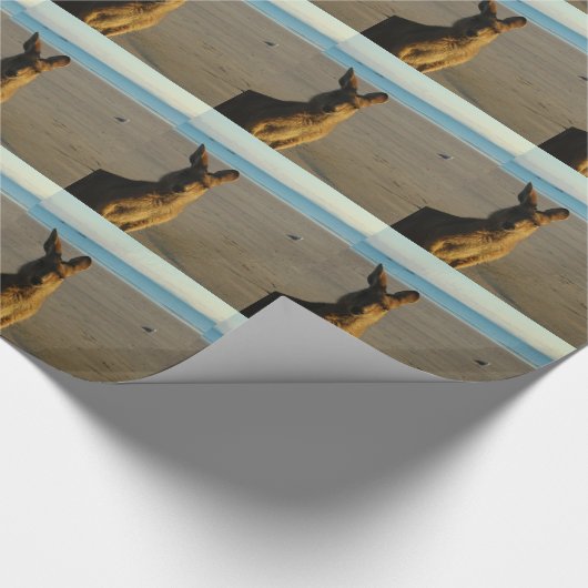 Känguru Geschenkpapier (Ecke)