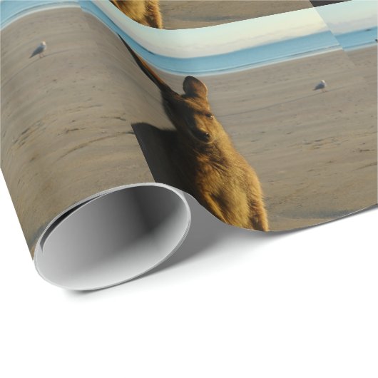 Känguru Geschenkpapier (Rolleneckpunkt)