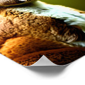 Känguru in Naturportrait digitale Kunst Poster (Ecke)