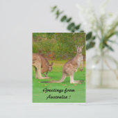 Känguru Postkarte (Stehend Vorderseite)