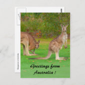 Känguru Postkarte (Vorne/Hinten)