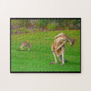 Känguru-Stretch Puzzle