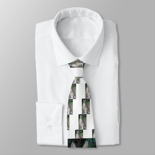 Känguru und Joey Krawatte (Gebunden)