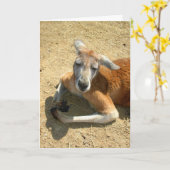 Kängurubeten Karte (Gelbe Blume)