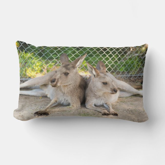 Kängurukissen Lendenkissen (Vorderseite)