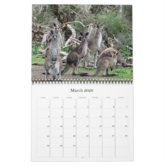 Kängurus 2025 kalender (Mär 2026)