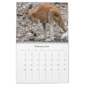 Kängurus 2025 kalender (Feb 2026)