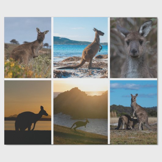 Kängurus aus Australien Geschenkpapier (Flach)