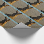 Kängurus Geschenkpapier (Ecke)