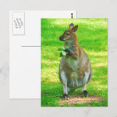 Kängurus mit Eichen-Blätter Postkarte (Vorne/Hinten)