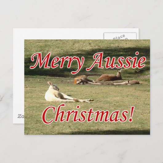 Kängurus Postkarte (Vorne/Hinten)