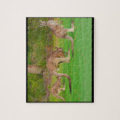 Kängurus Puzzle (Vertikal)