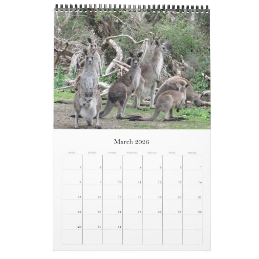 Kängurus wallabies 2025 kalender (Mär 2026)
