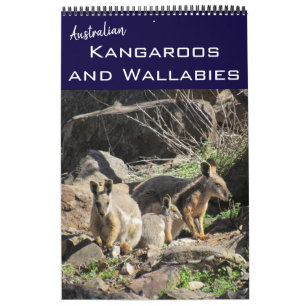 Kängurus Wallabys 2026 Kalender