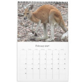 Kängurus Wallabys 2027 Kalender (Feb 2027)