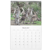 Kängurus Wallabys 2027 Kalender (Mär 2027)