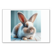 Kaninchen (兔 / tù) - Chinesische Flash Cards Tischnummer (Vorderseite)