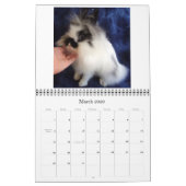 Kaninchen 2009-2010 kalender (Mär 2026)