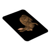 Kaninchen 2 magnet (Rechte Seite)