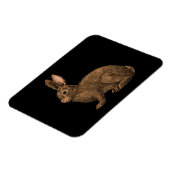 Kaninchen 2 magnet (Linke Seite)
