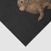 Kaninchen 2 seidenpapier (Ausschnitt)