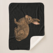 Kaninchen 2 sherpadecke (Vorderseite)